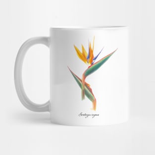 Colorful Bird of Paradise Mug